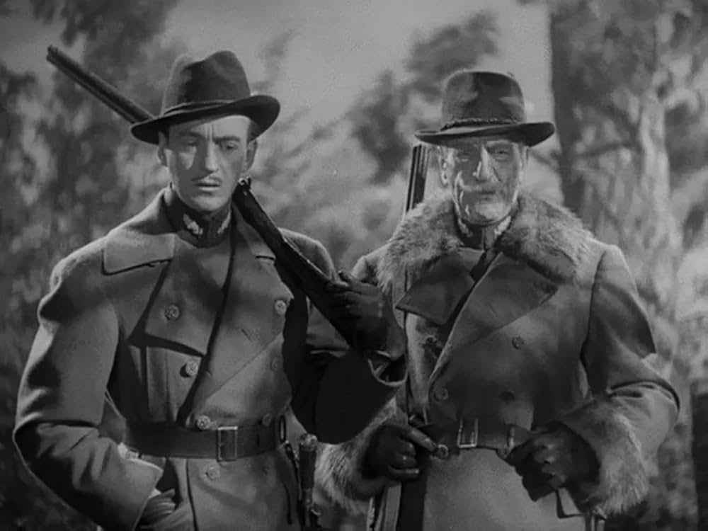 ゼンダ城の虜の画像