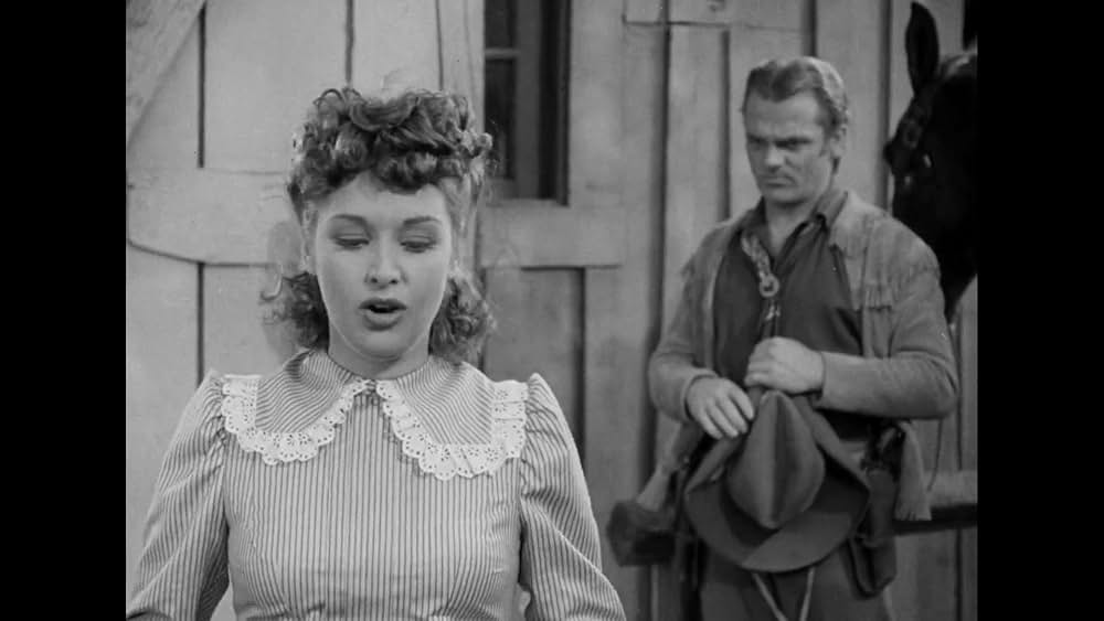 オクラホマ・キッドの画像