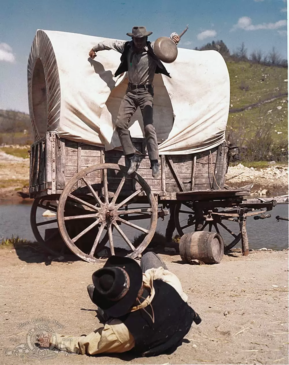 帰って来たガンマンの画像