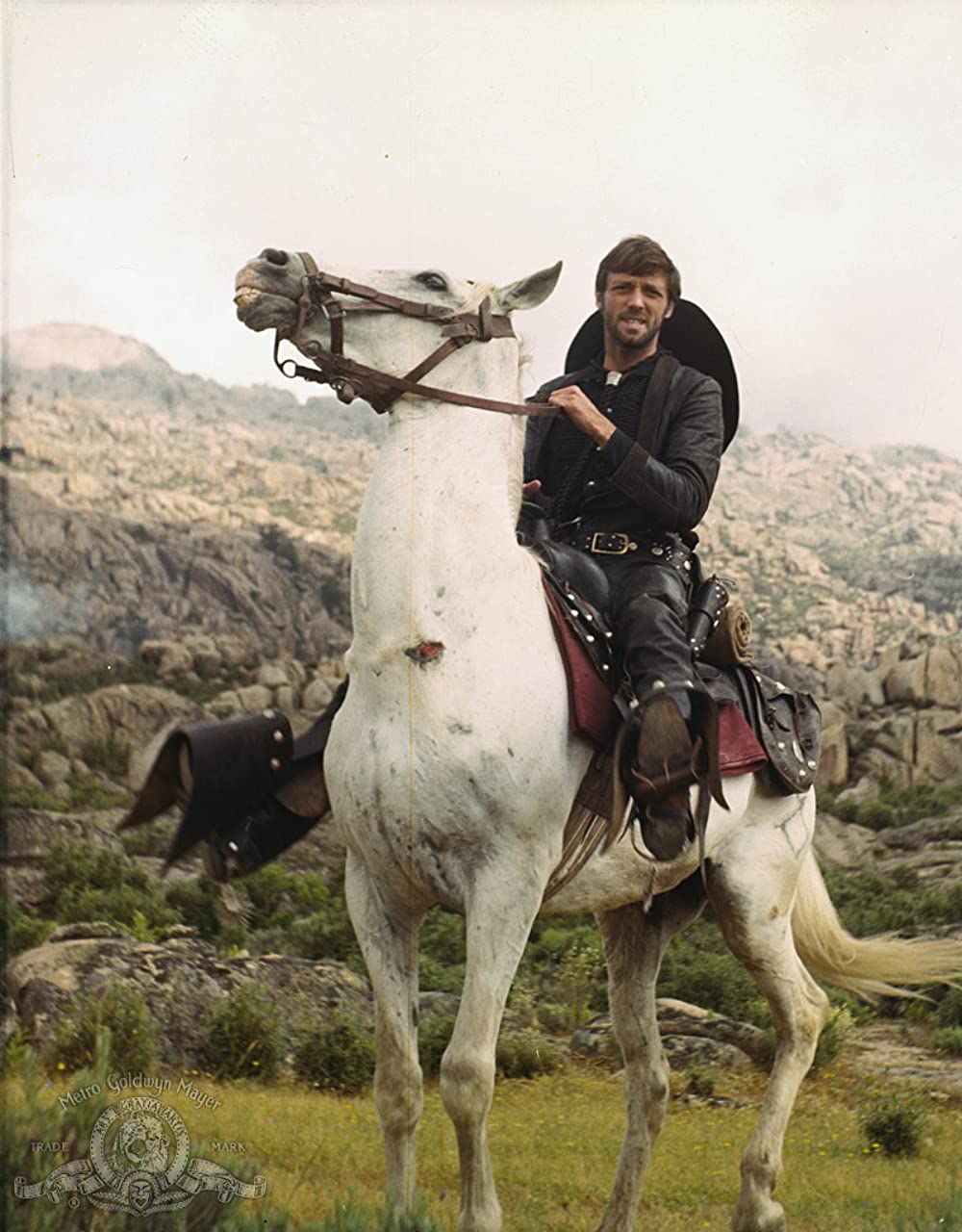 帰って来たガンマンの画像