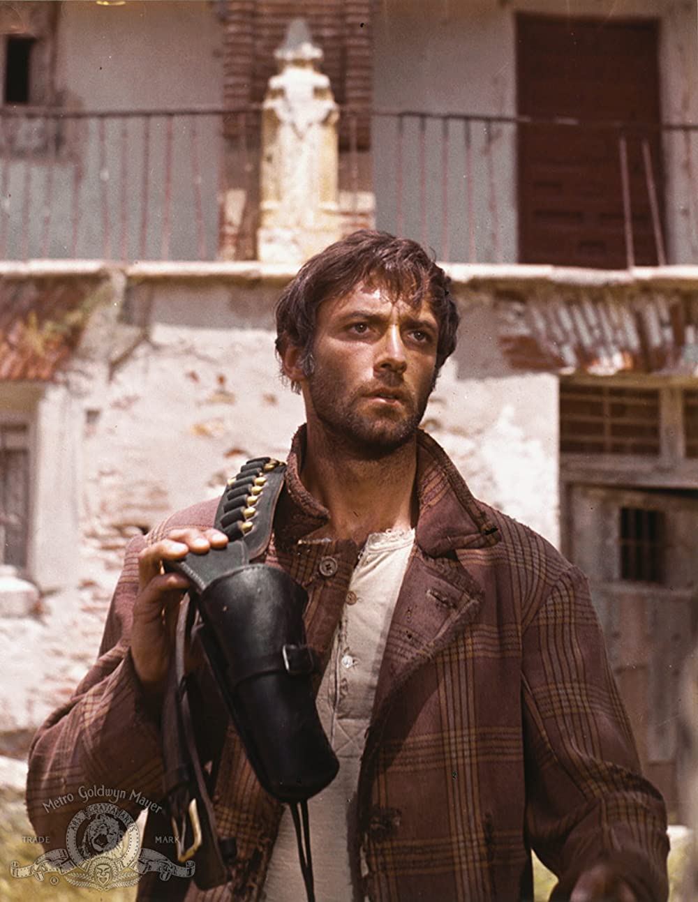 帰って来たガンマンの画像