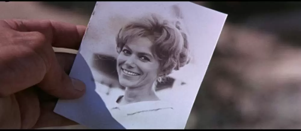 帰って来たガンマンの画像