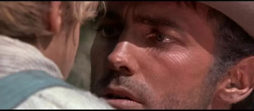 帰って来たガンマンの画像