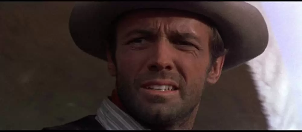 帰って来たガンマンの画像