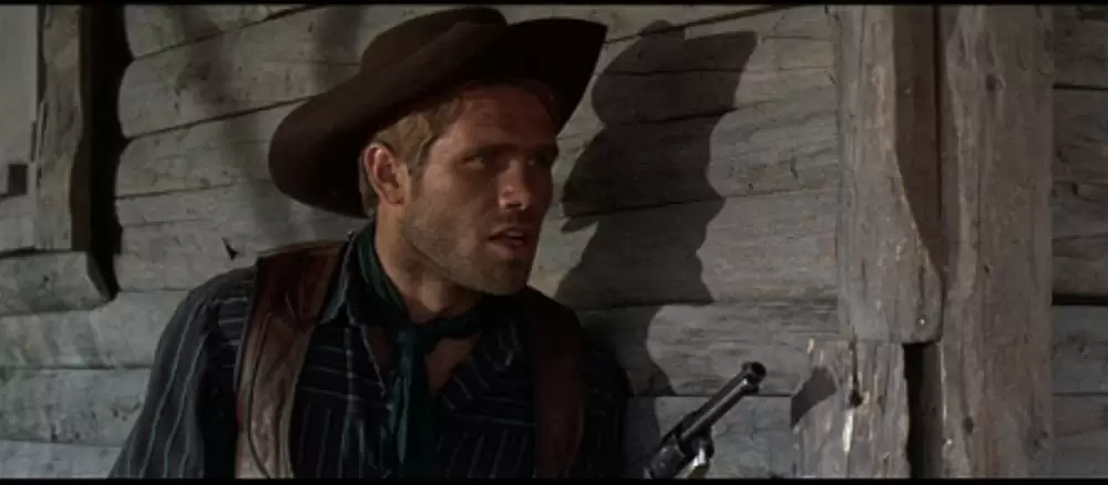 帰って来たガンマンの画像