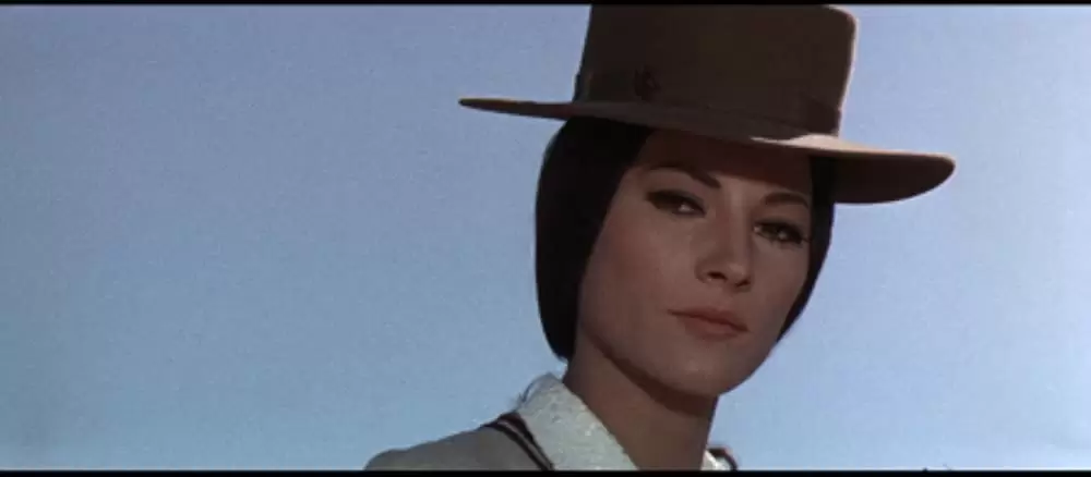 帰って来たガンマンの画像