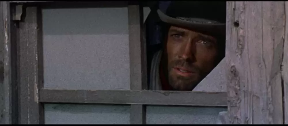 帰って来たガンマンの画像