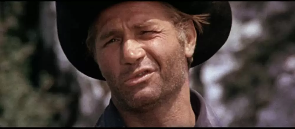 帰って来たガンマンの画像