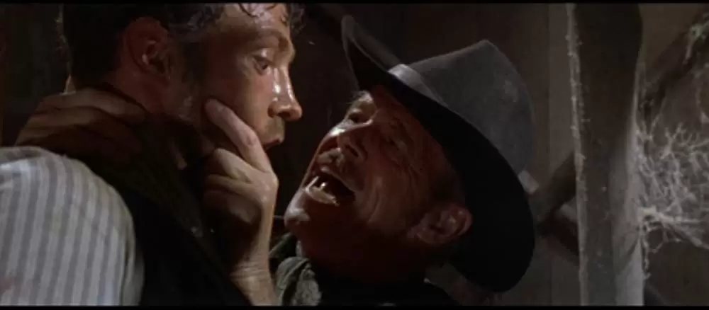 帰って来たガンマンの画像