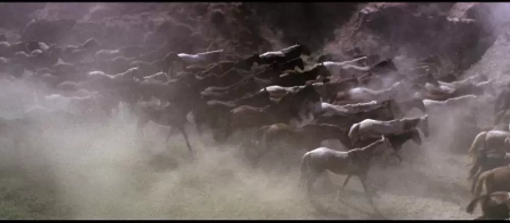 帰って来たガンマンの画像