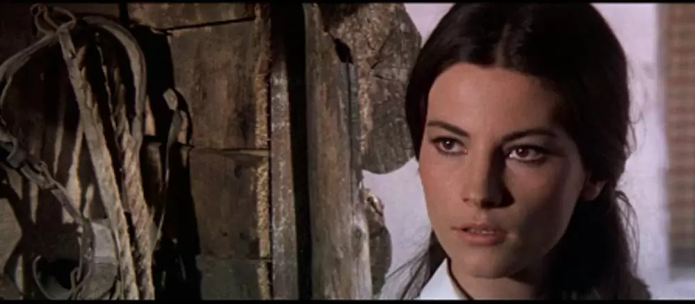 帰って来たガンマンの画像