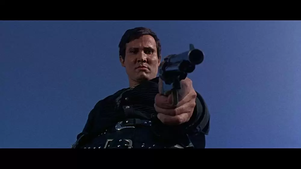 帰って来たガンマンの画像