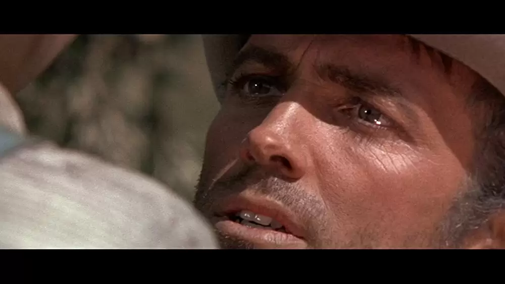 帰って来たガンマンの画像