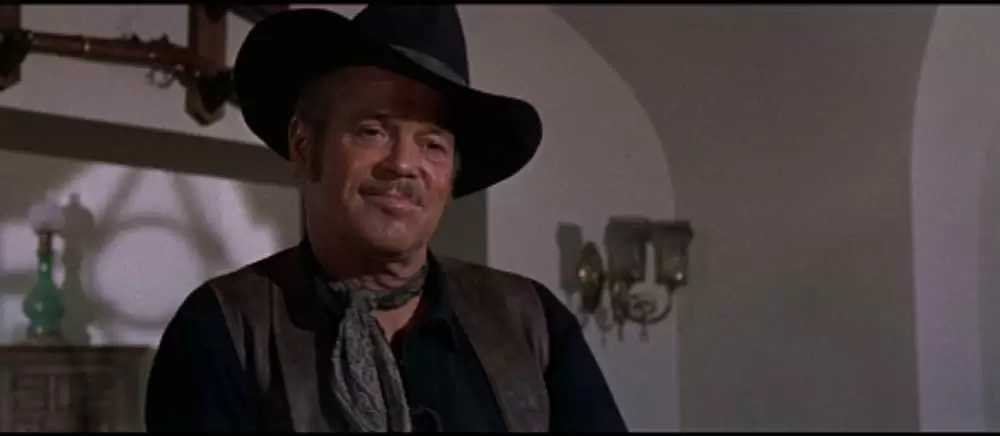 帰って来たガンマンの画像