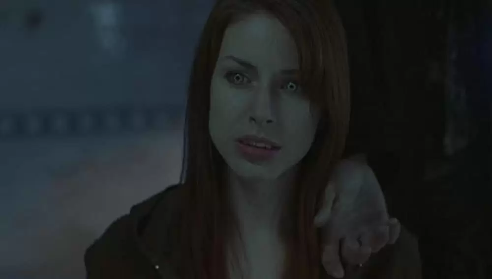 「ドラキュリアII 鮮血の狩人」スティーブン・ビリントン & ダイアン・ニールの画像