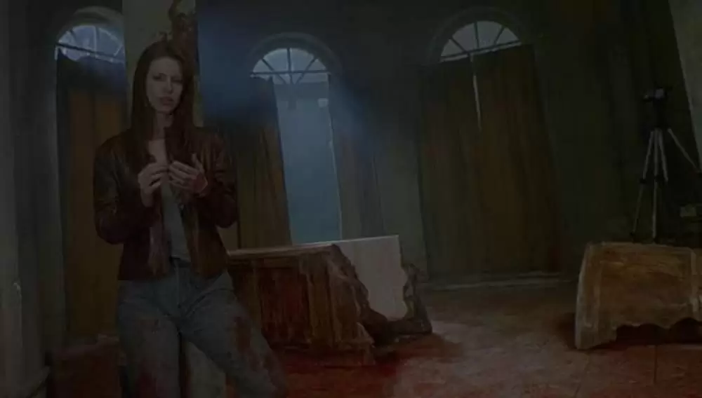 「ドラキュリアII 鮮血の狩人」スティーブン・ビリントン & ダイアン・ニールの画像