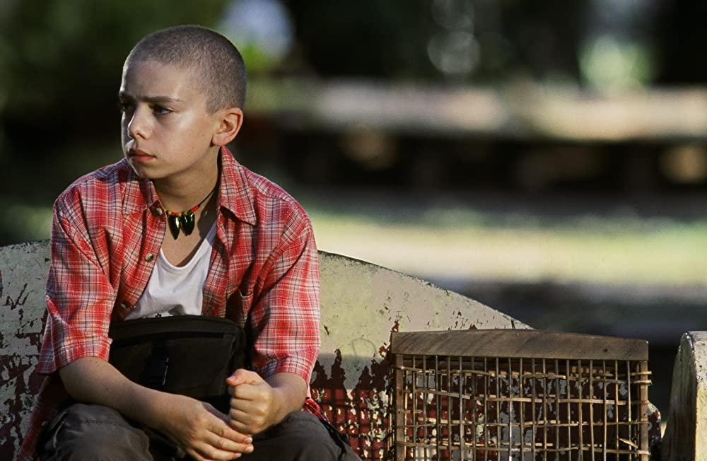 天国の青い蝶の画像