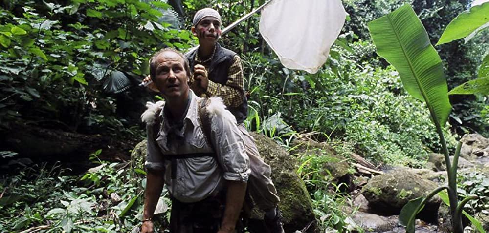 天国の青い蝶の画像