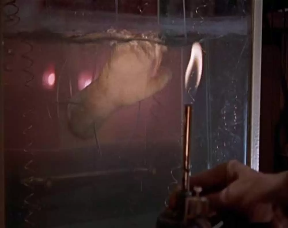 フランケンシュタインの復讐の画像