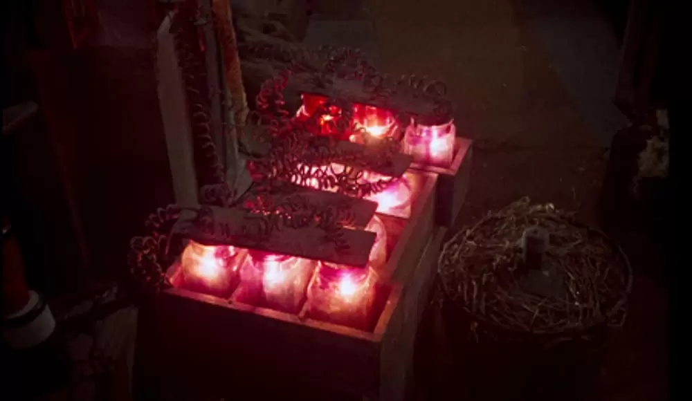 フランケンシュタインの復讐の画像