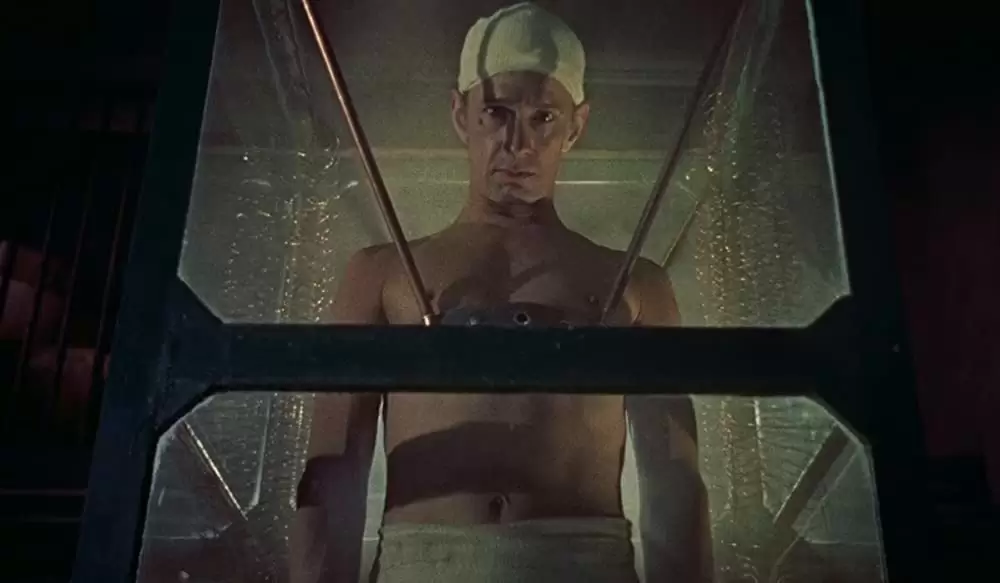 「フランケンシュタインの復讐」Michael Gwynnの画像