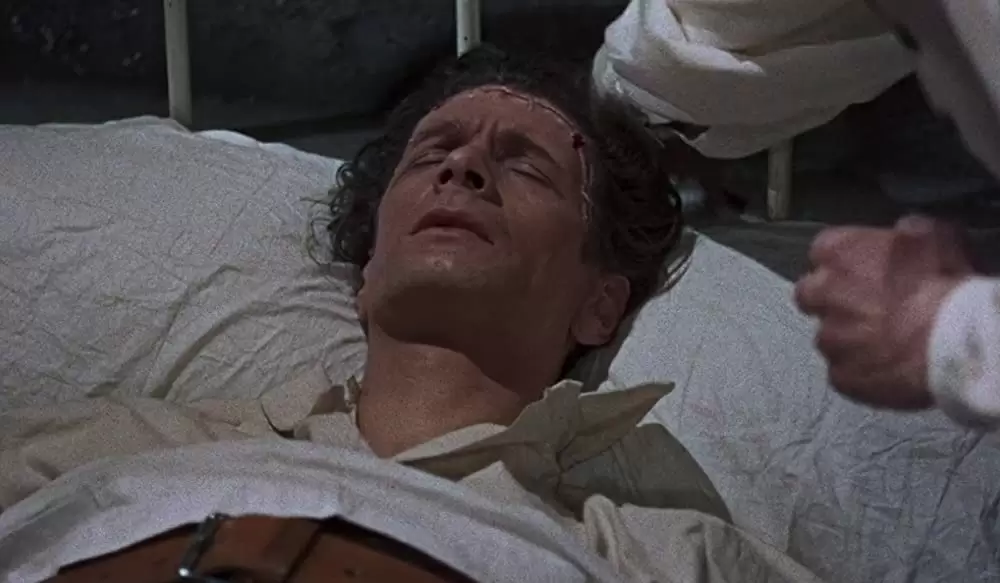 「フランケンシュタインの復讐」Michael Gwynnの画像