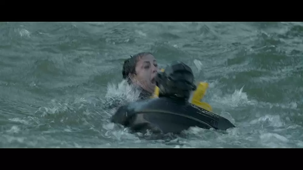 「ハドソン川の奇跡」Marcia DeBonisの画像