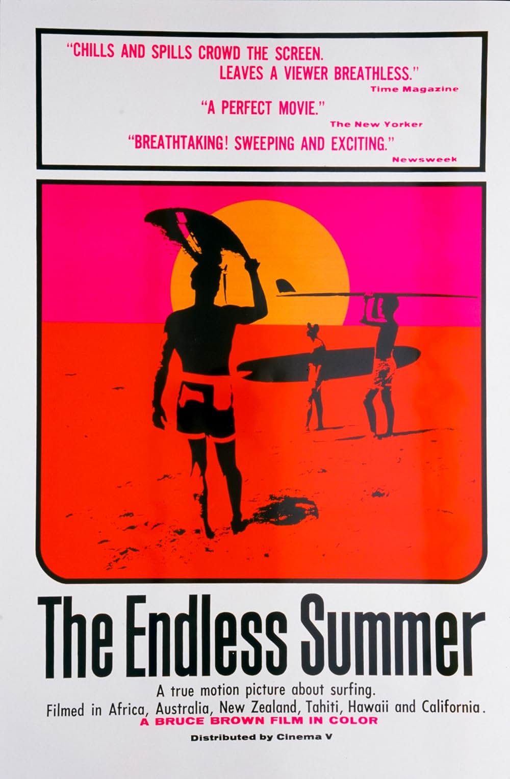 エンドレス・サマー／終りなき夏の画像