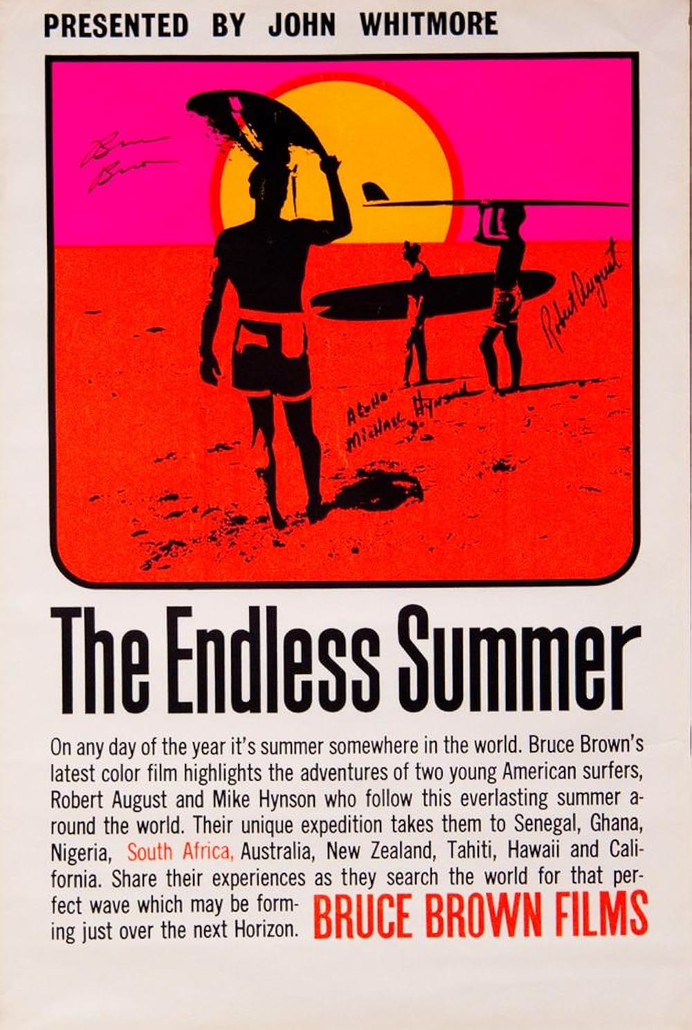 エンドレス・サマー／終りなき夏の画像