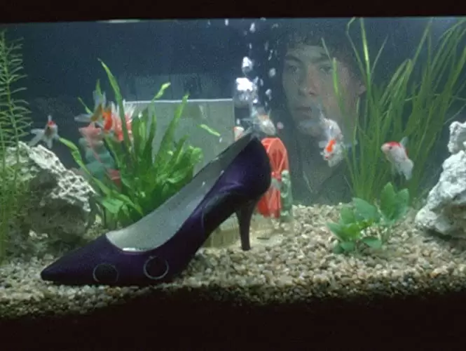 男として死ぬの画像