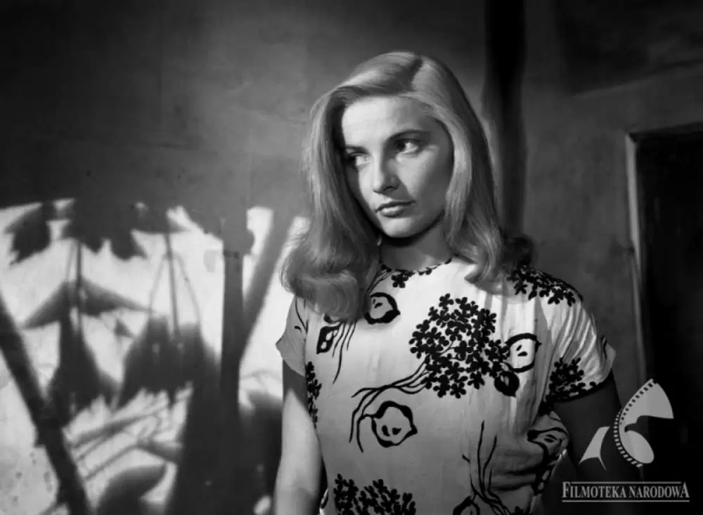 地下水道の画像