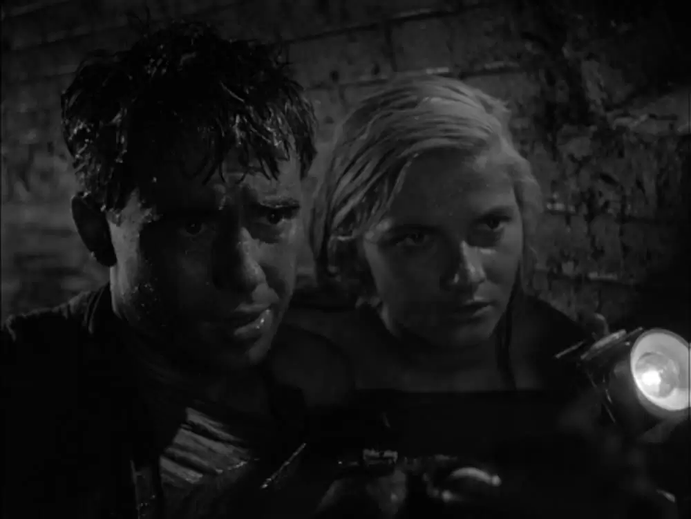 「地下水道」Teresa Iżewska & Tadeusz Janczarの画像