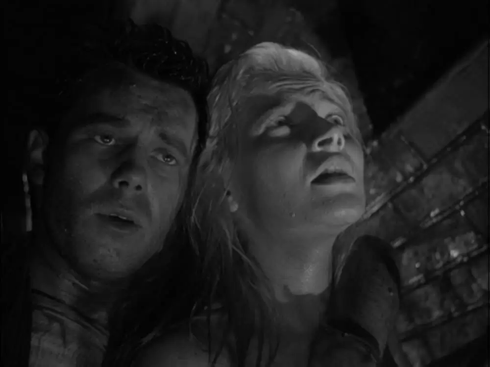 「地下水道」Teresa Iżewska & Tadeusz Janczarの画像