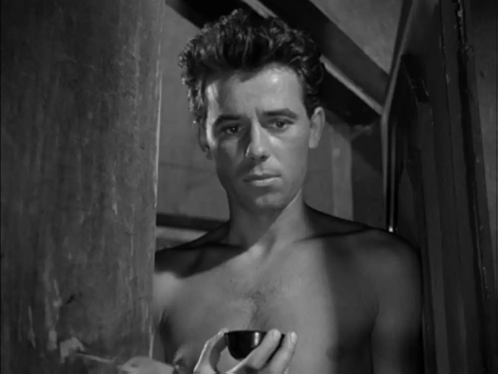 「地下水道」Tadeusz Janczarの画像