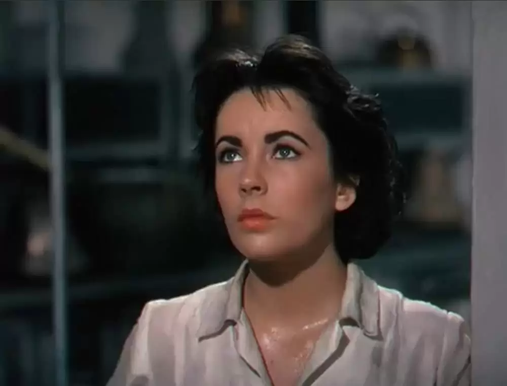 「巨象の道」エリザベス・テイラーの画像