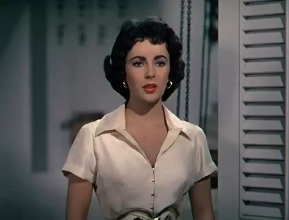 「巨象の道」エリザベス・テイラーの画像