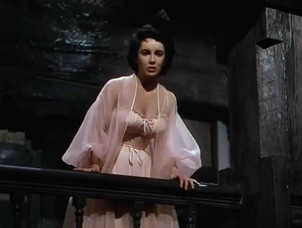 「巨象の道」エリザベス・テイラーの画像