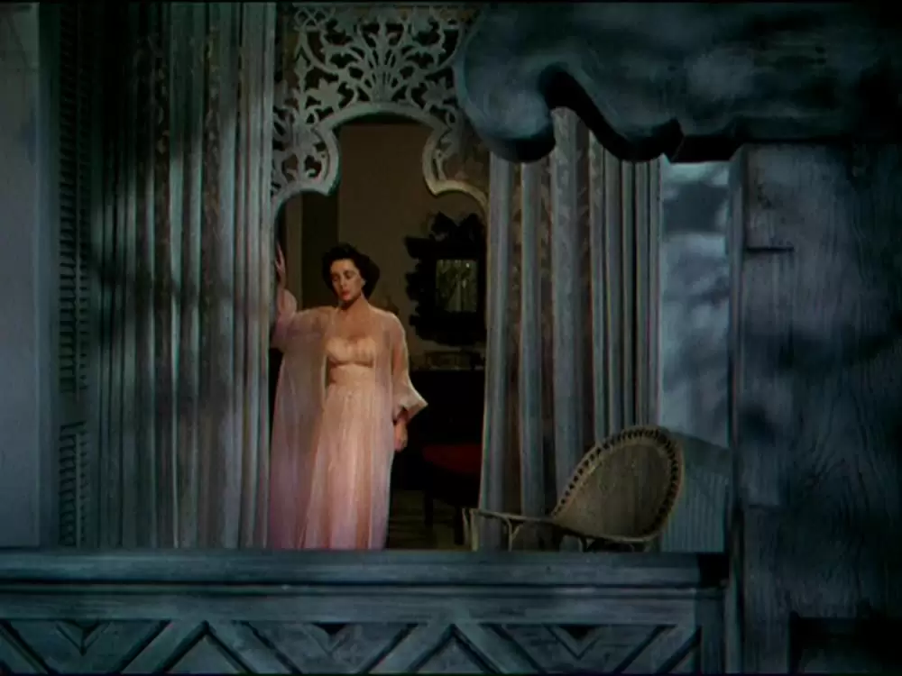 「巨象の道」エリザベス・テイラーの画像