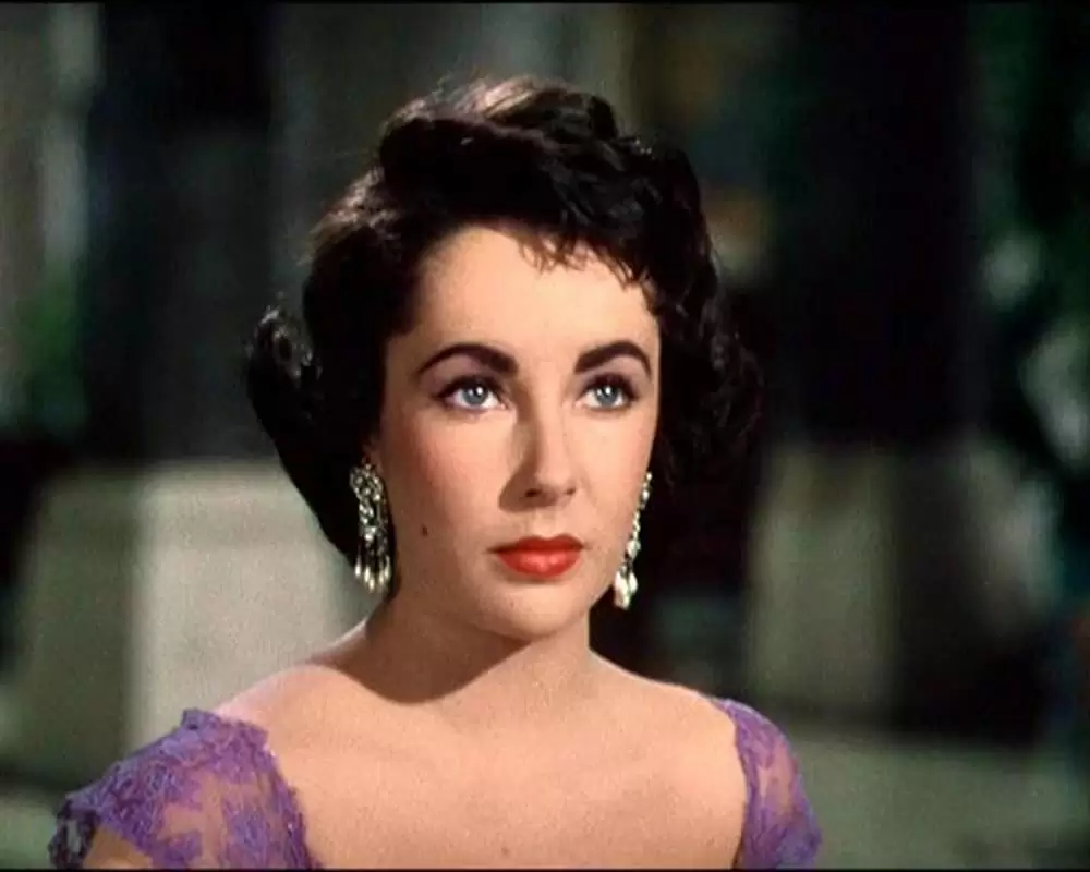 「巨象の道」エリザベス・テイラーの画像