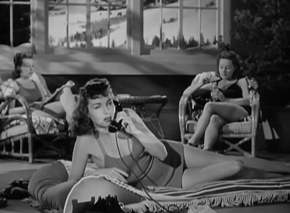 銀嶺セレナーデの画像