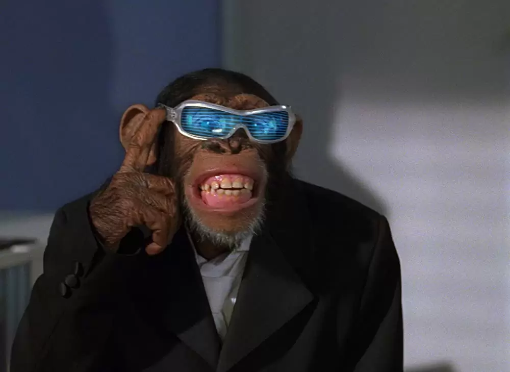 SpyMonkey スパイモンキーの画像