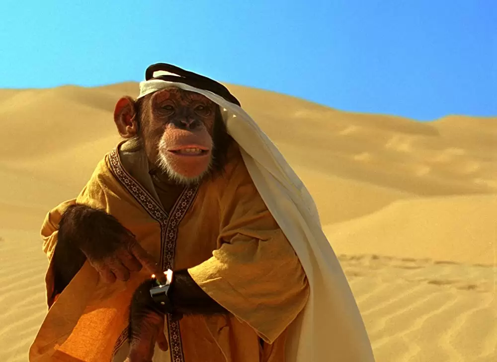 SpyMonkey スパイモンキーの画像