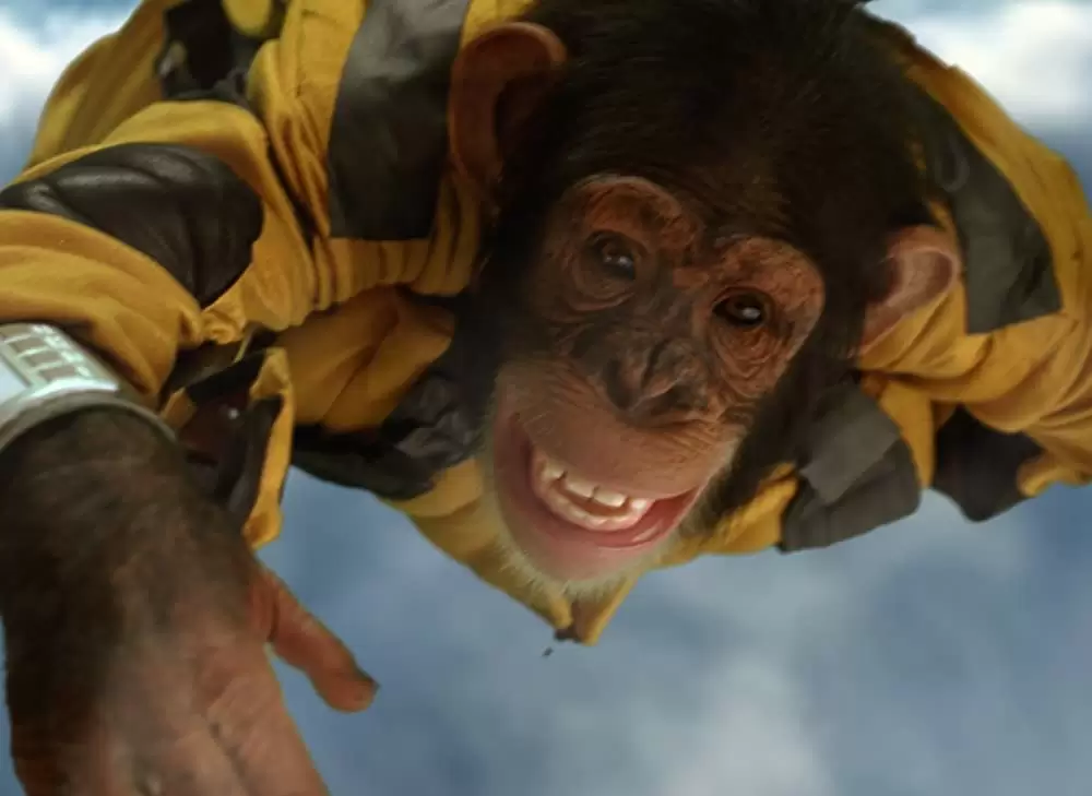 SpyMonkey スパイモンキーの画像