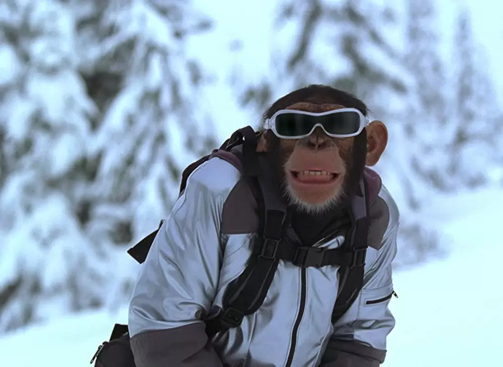 SpyMonkey スパイモンキーの画像