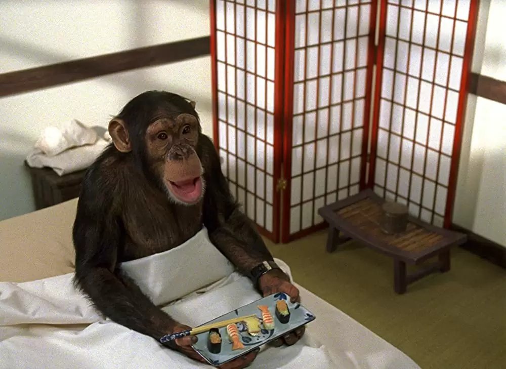 SpyMonkey スパイモンキーの画像