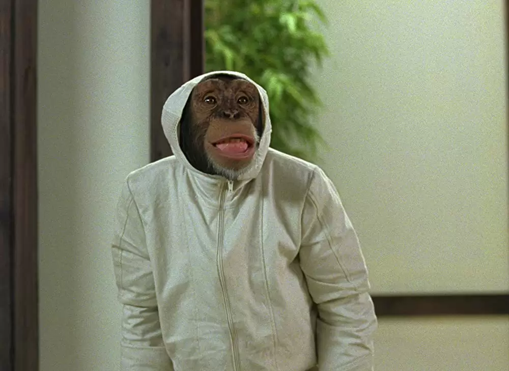 SpyMonkey スパイモンキーの画像