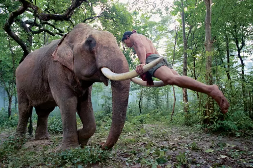 トム・ヤム・クン！の画像