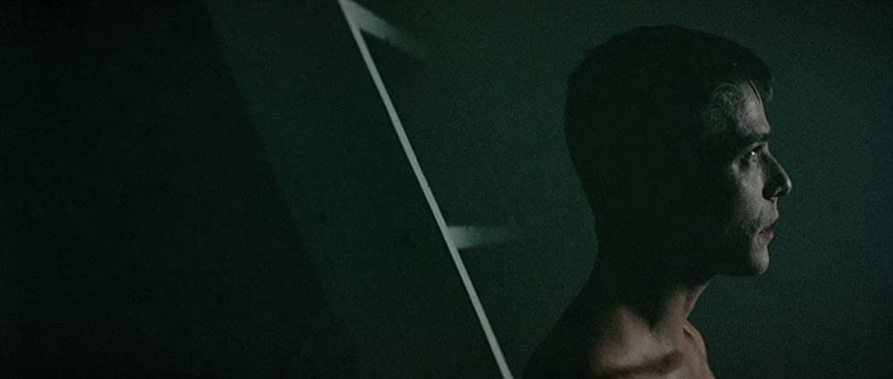 籠の中の乙女の画像