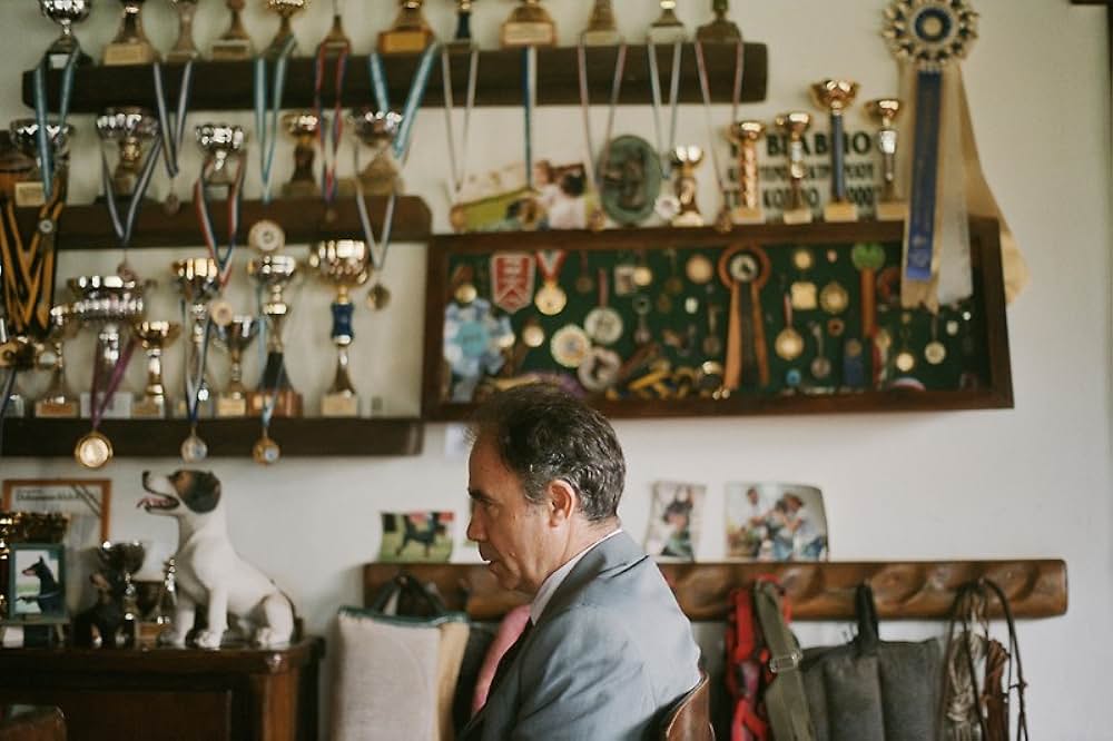 籠の中の乙女の画像