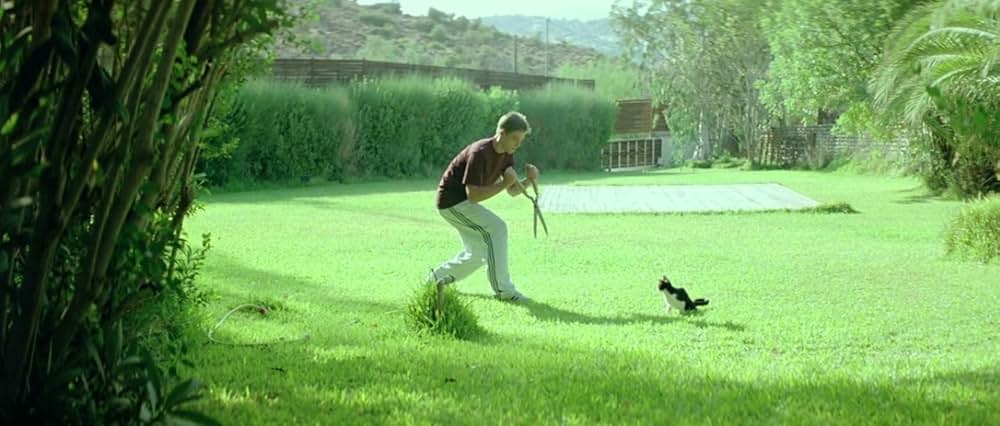 籠の中の乙女の画像